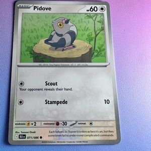 pidove - 071/086 (common) — pokemon: black bolt